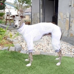 『紫色の花💐』