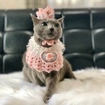 再販【猫用 王冠&ポンチョ】ハートのプリンセスセット
