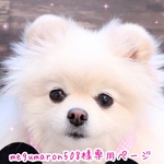 オーダーあぶちゃん💖
