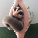 フクロモモンガポーチ