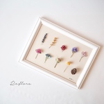 ✳︎New!✳︎春のお花畑 Botanical標本✳︎洋書ペーパー1枚おまけ付き✳︎ホワイトフレーム 横-3