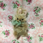 ミニしろと茶うさぎ