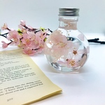 和のハーバリウム〜Cherry blossom〜