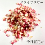  【ドライフラワー】千日紅の花弁