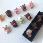 選べるチョコレートみたいな猫さんトリオ
