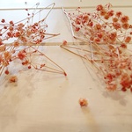 かすみそう【オレンジ系】　ハンドメイドに最適な花材です・ドライフラワー【メール便対応】ハーバリウム　手作りキット ハーバリウム 　レジン封入材　レジンアクセサリー資材