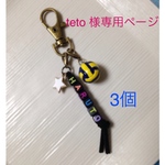 専用ページ