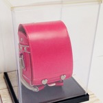 オプション クリアケース