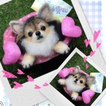 kumasann様　お手手付き　犬　羊毛フェルト