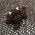 黒トイプードル♡