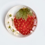 🍓【受注生産】フレッシュさ溢れる、旬な本物の苺の帯留め　いちご　イチゴ