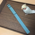 【即納】NATO ストラップ ベルト 20mm（イタリアンレザー）