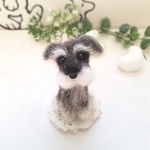 羊毛フェルト　ミニチュアシュナウザー　犬