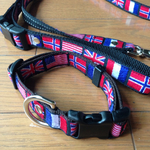 国旗柄   中型犬用 リード 首輪セット( m様オーダー品)