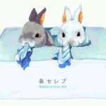 yumi様    専用