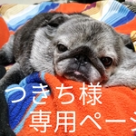 まつきち様専用ページ