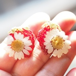いちごとお花の耳飾り♡