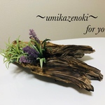 流木　フェイクグリーン付き