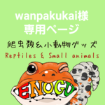[wanpakukai様専用]爬虫類Tシャツ
