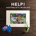 NEW【オーストラリア野生動物サポート】A4マット入りプリントアート "WILDLIFE" オーストラリア野生動物(国産竹紙使用)