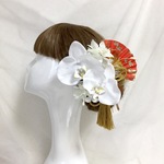 水引赤扇♡白雪の胡蝶蘭