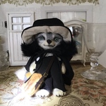 ファーマントのシンリンオオカミさん三