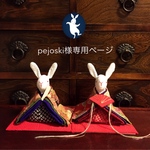 pejoski様専用 ページ