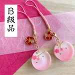B級品 梅尽くし