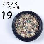 «送料無料»さらさらシェル＊⑲