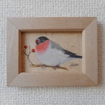 色鉛筆画　「ウソ」　（原画・額入り）
