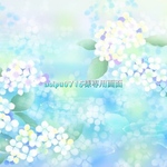 wedding boupuet(aoipu0715様専用画面)