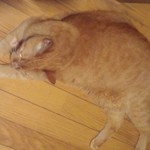 文月さま専用ページです