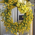 mimozaリース