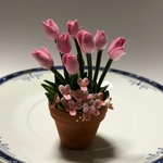 チューリップの花鉢  H  ミニチュア　ビオラ