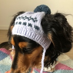 🟡20% OFF【19AW#35】小さめ 犬用ニット帽