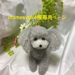 羊毛フェルト　専用ページ