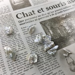 【6個】淡水シェル　92