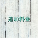 追加料金のご案内