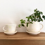 マグカップ植木鉢