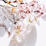 春を告げる桜のガラスドーム spring   ネックレス    