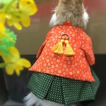 [Lサイズ]うさぎの金柑坊ハーネス