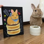 @koto_miniusa さま♡専用