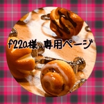 f22a様 専用［オーダー品］ミニチュアパンのイヤリング☆