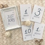 マンスリーフォトカード 月齢カード
