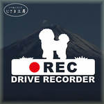 ビションフリーゼの白色シルエットステッカー‼後方注意‼『DRIVE　RECORDER』
