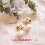 haruunt様専用ページ
