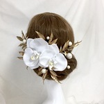 ボタニカルアンティーク ✴︎白雪の胡蝶蘭
