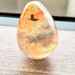 夕焼けたまご　34mm