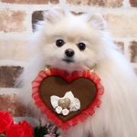 バレンタインデコあぶちゃん💖限定品