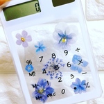 ハーバリウム電卓  お花いっぱいブルー系